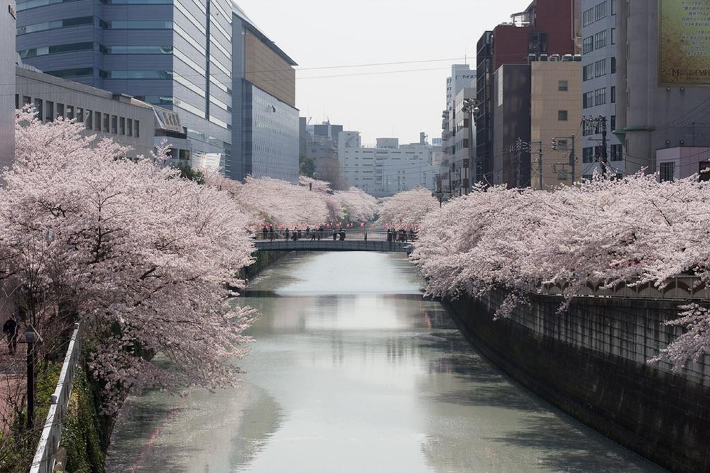Nesthotel Alt Meguro Ekimae Präfektur Tokio Exterior foto